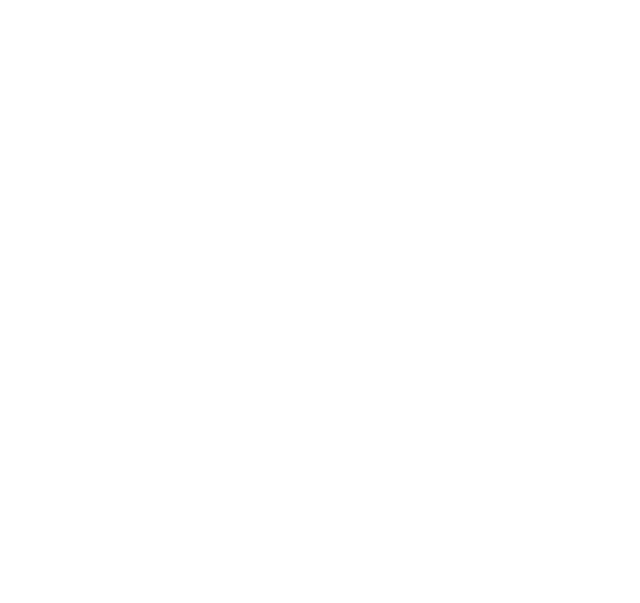 webcy_solutions_logo