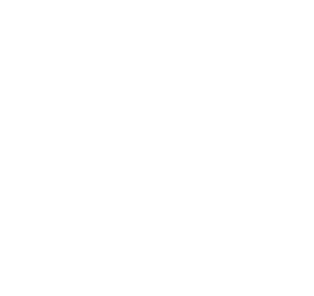 webcy_solutions_logo